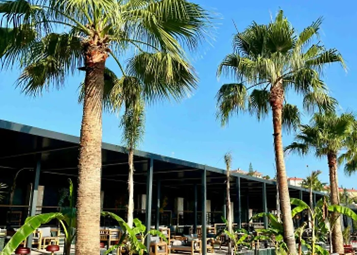 Club Robin Hood 4* Alanya