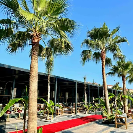 Club Robin Hood 4* Алания